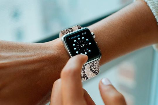 Snakeskin Leather Apple Watch Band