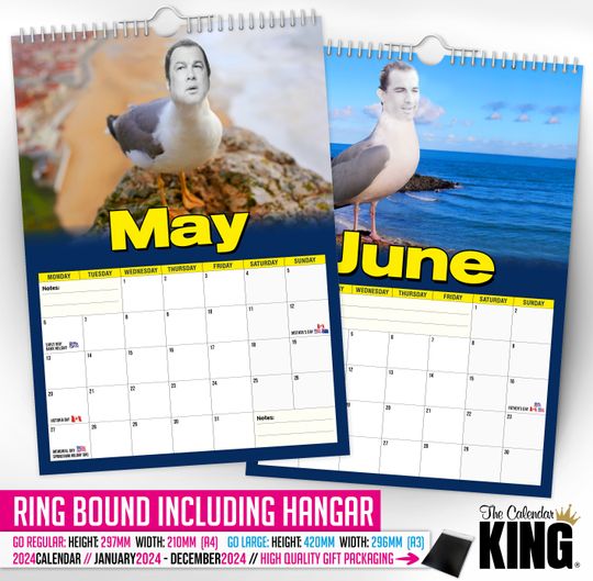 Steven 'THE' Seagull - 2024 Wall Calendar, Funny, Gift Idea, Present, Novelty, Humour
