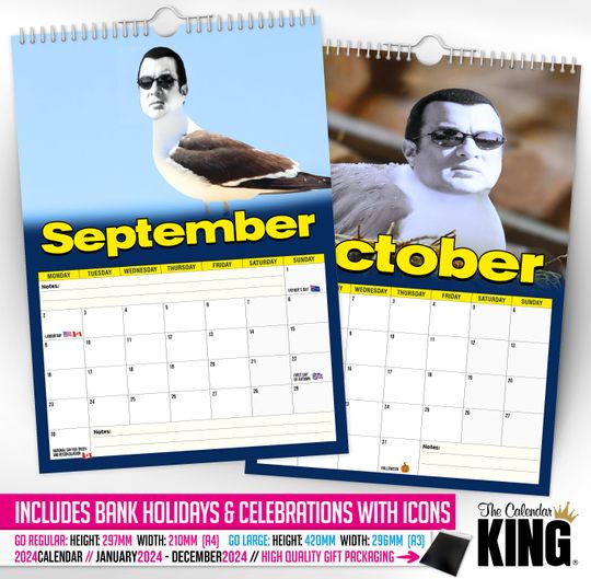 Steven 'THE' Seagull - 2024 Wall Calendar, Funny, Gift Idea, Present, Novelty, Humour