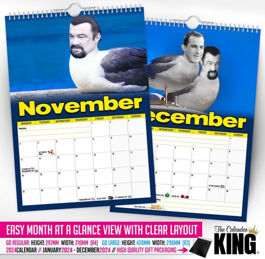 Steven 'THE' Seagull - 2024 Wall Calendar, Funny, Gift Idea, Present, Novelty, Humour