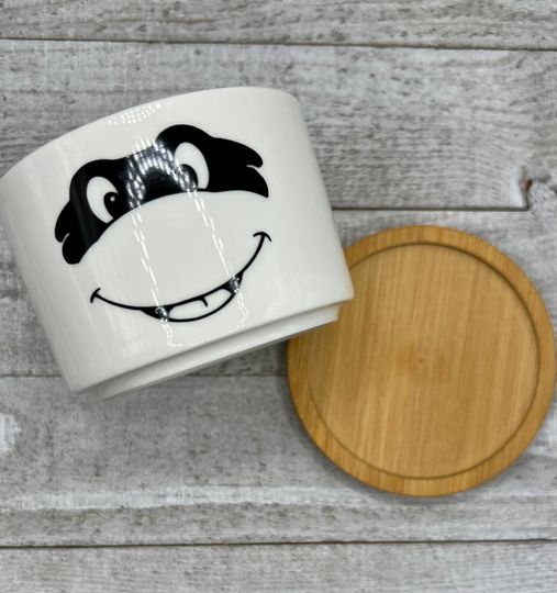 TMNT Ninja Turtles Inspired Plant Pot