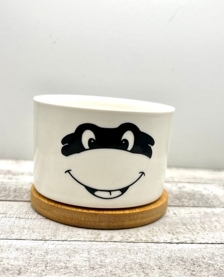 TMNT Ninja Turtles Inspired Plant Pot