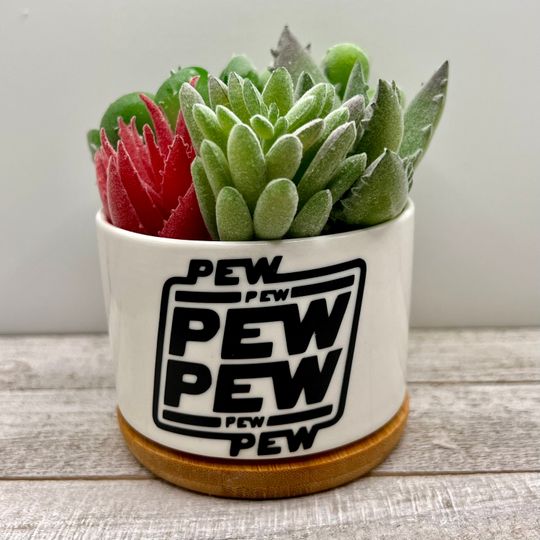 Stormtrooper Star Wars Inspired Plant Pot