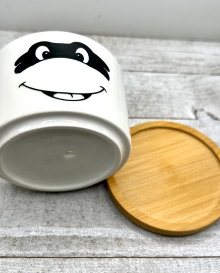 TMNT Ninja Turtles Inspired Plant Pot