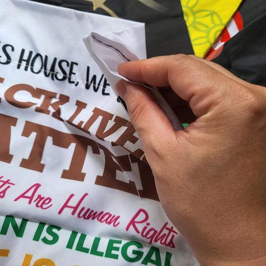 Disney Maleficent Garden Flag