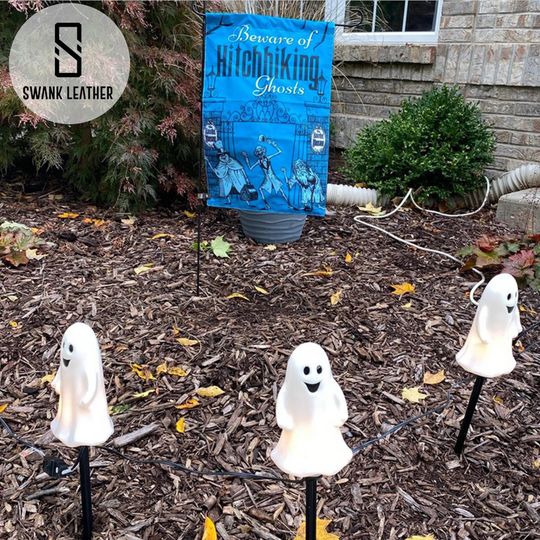 Disney Maleficent Garden Flag