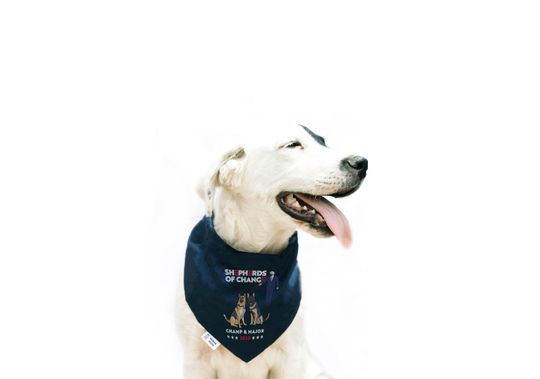 Champ & Major 2020 Dog Bandana
