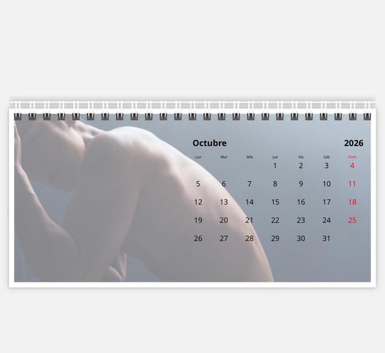 Mingyu Seventeen Calendar 2026