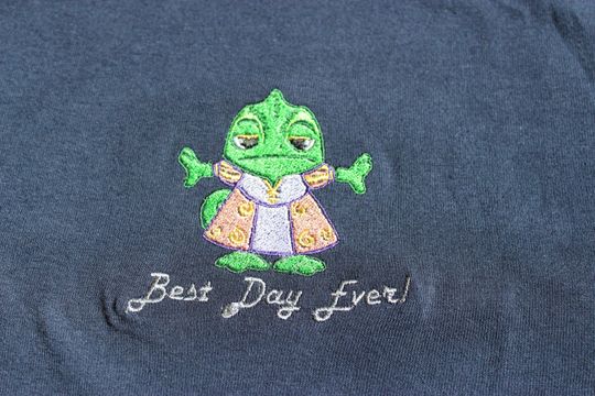 Disney Tangled Pascal Embroidered Shirt, Sweatshirt or Hoodie