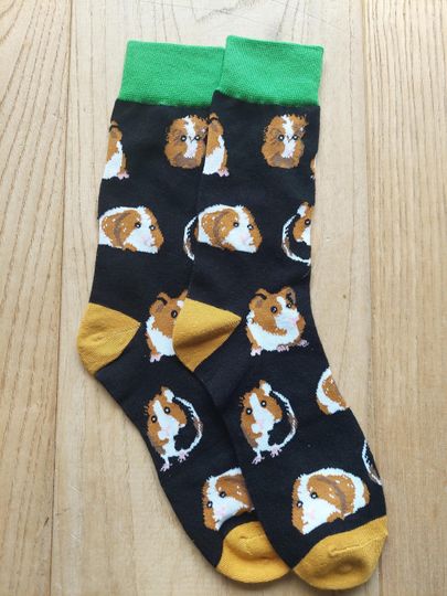 Guinea Pig Socks