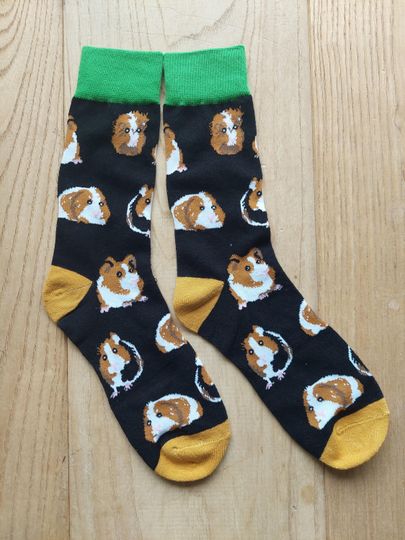 Guinea Pig Socks