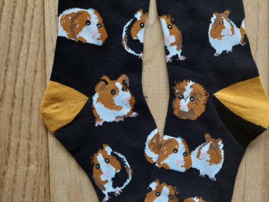 Guinea Pig Socks
