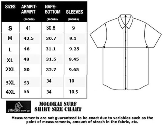 Molokai Charcoal Dinosaur Button Down Shirt