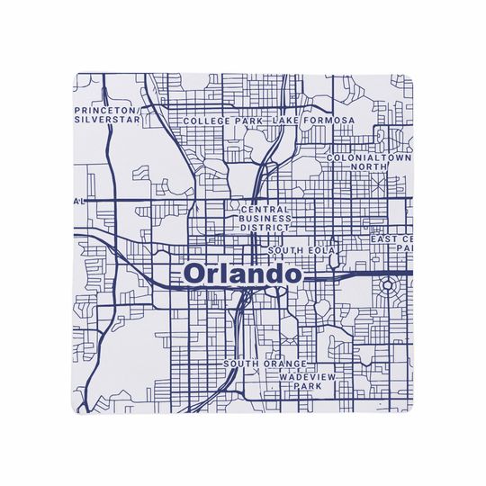 Orlando FL Coasters Ceramic Set Florida Home Decor Travel Keepsake