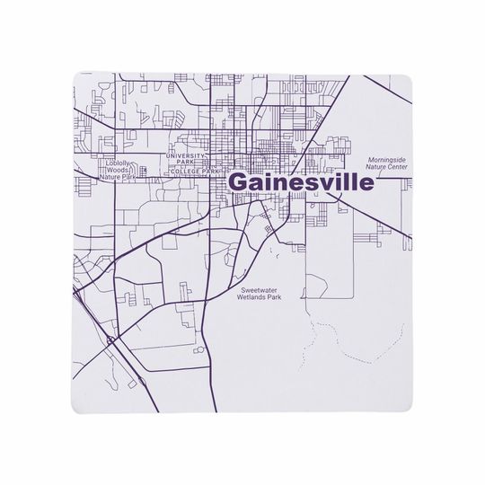 Gainesville FL Ceramic Coaster Set, Florida Home Decor, Travel Keepsake