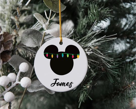 Christmas lights,Disney Ornament, Disneyland keepsake