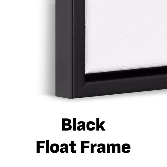 Lebron James Dunk Poster