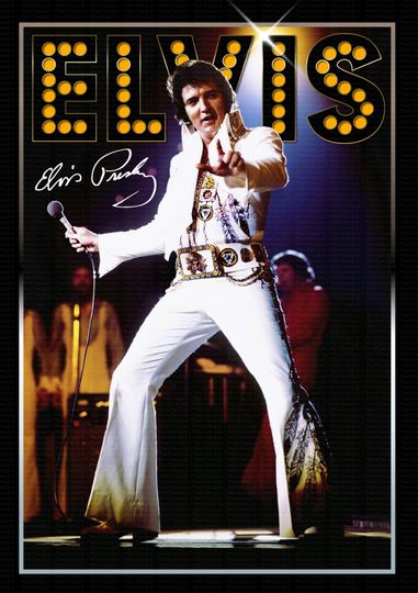 ELVIS PRESLEY - Elvis On Tour 1975 -  Original A1 Poster Print Memorabilia
