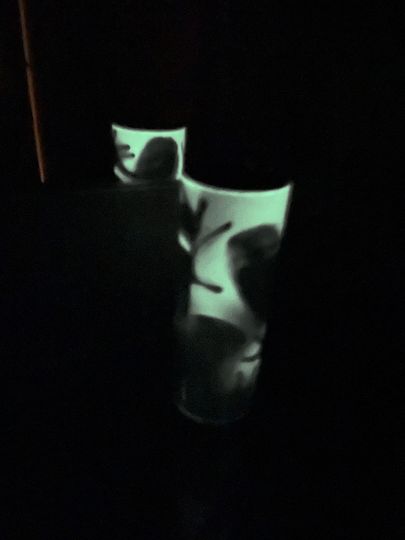 Glow Tumblers