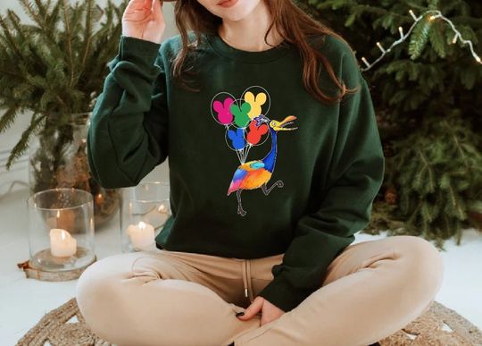 Pixar Up Sweatshirt, Disneyworld Sweatshirt, Disney Up Sweatshirt