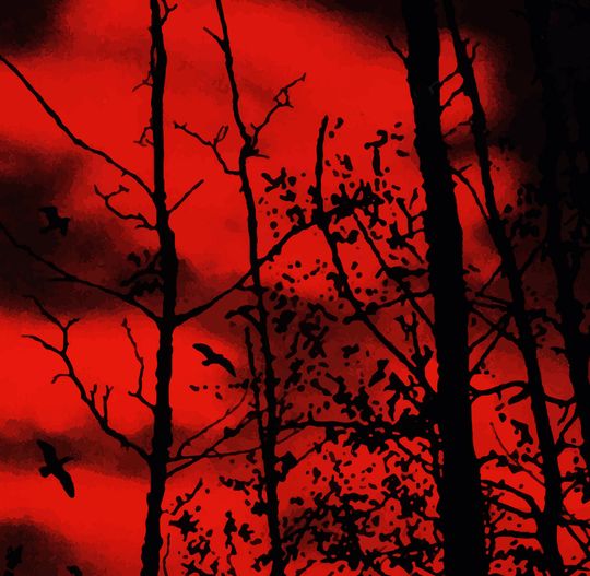 Poster Resident Evil 4 - Artwork Cover Capcom (2005) Poster