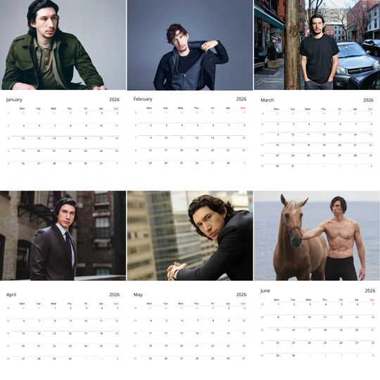 Adam Driver Wall Calendar 2026 Vol 4 Large