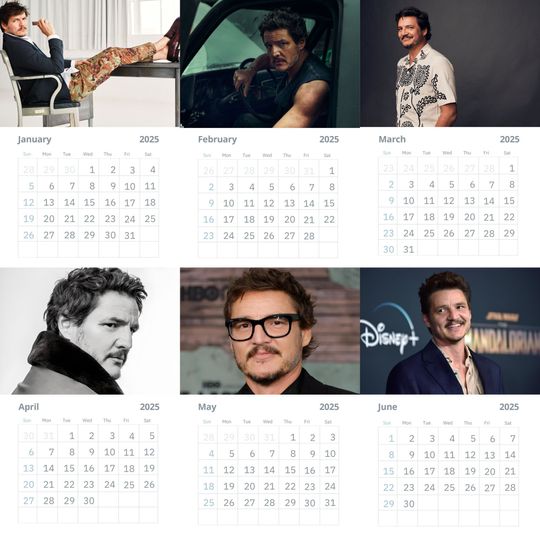 Pedro Pascal Wall Calendars Vol 1