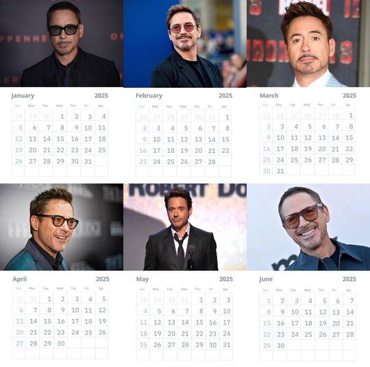 Robert Downey JR Wall Calendars 2025 Vol 2