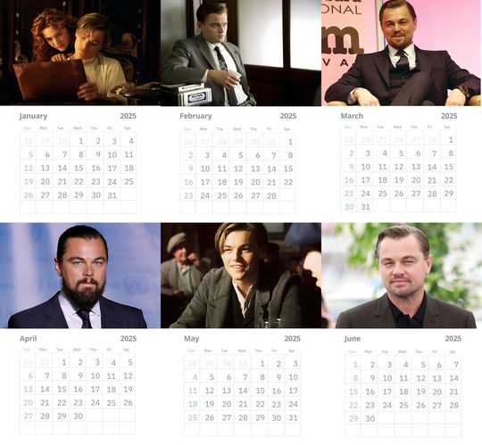 Leonardo Dicaprio Wall calendars 2025