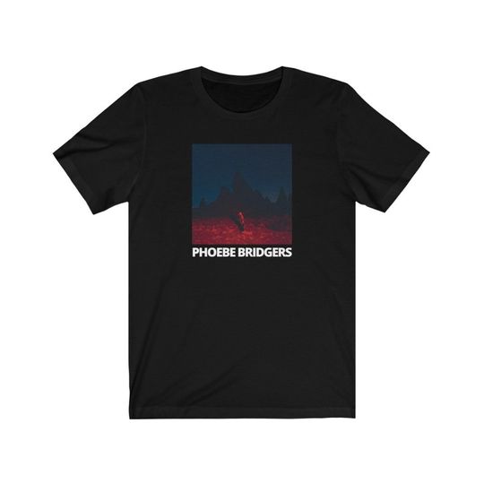 Phoebe Bridgers Punisher T-Shirt