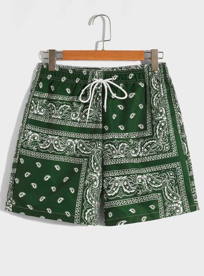 Men Drawstring Waist Paisley Print Shorts