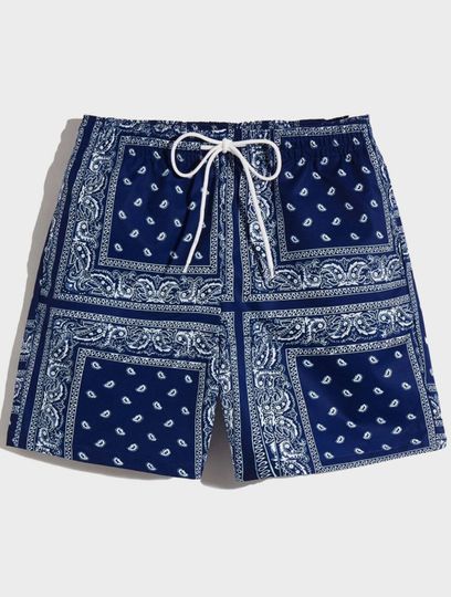 Men Drawstring Waist Paisley Print Shorts