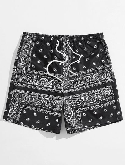 Men Drawstring Waist Paisley Print Shorts