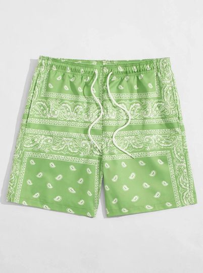 Men Drawstring Waist Paisley Print Shorts
