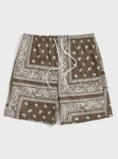 Men Drawstring Waist Paisley Print Shorts