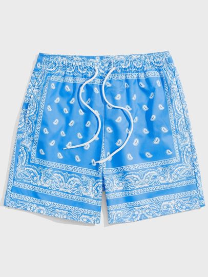 Men Drawstring Waist Paisley Print Shorts