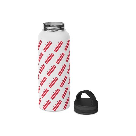 Stainless Steel Water Bottle, Handle Lid