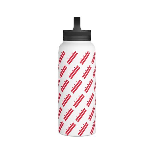 Stainless Steel Water Bottle, Handle Lid