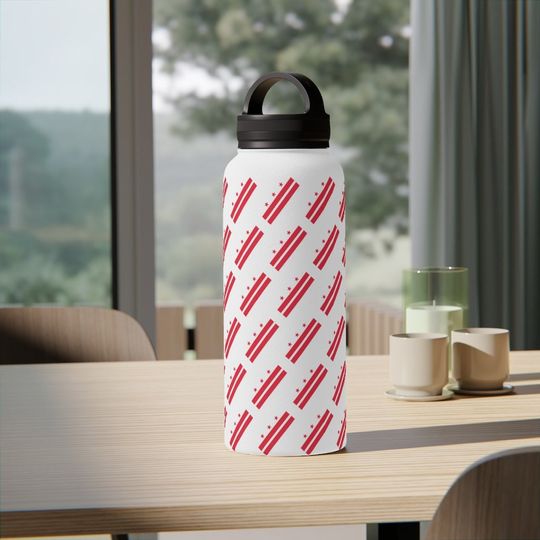 Stainless Steel Water Bottle, Handle Lid