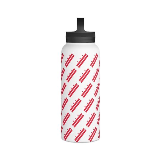 Stainless Steel Water Bottle, Handle Lid