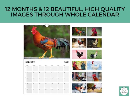 Roosters 2026 Wall Calendar, Funny Gag Gift
