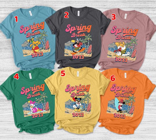 Vintage Disney Spring Break 2023 Shirt/ Retro Mickey and Friends Spring Break Squad Tee