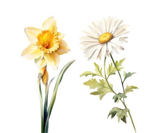Watercolor Birth Month Flowers Clipart Bundle (PNG Digital Download)