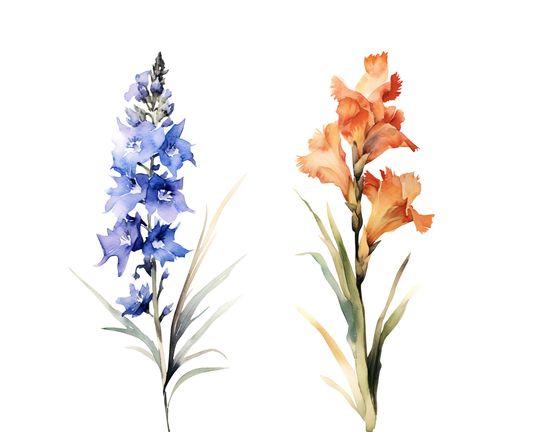 Watercolor Birth Month Flowers Clipart Bundle (PNG Digital Download)