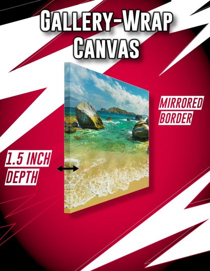 Kobe Bryant Michael Jordan Poster