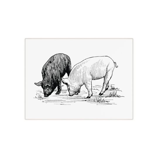 Ceramic Photo Tile with Pig Artwork – Country Style Decoration