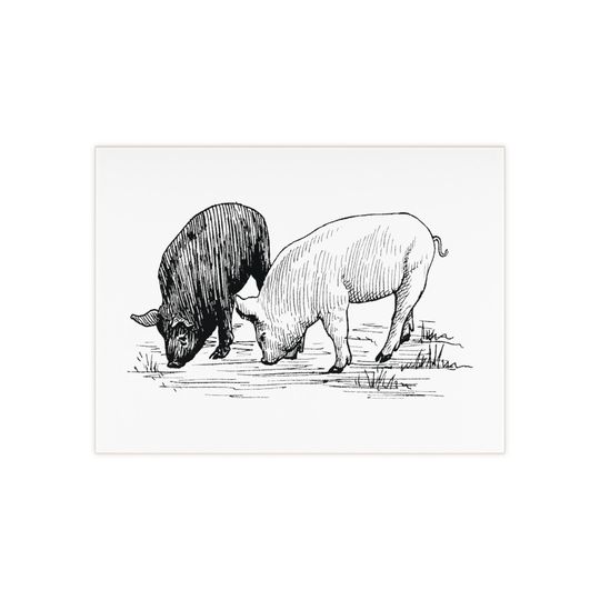 Ceramic Photo Tile with Pig Artwork – Country Style Decoration