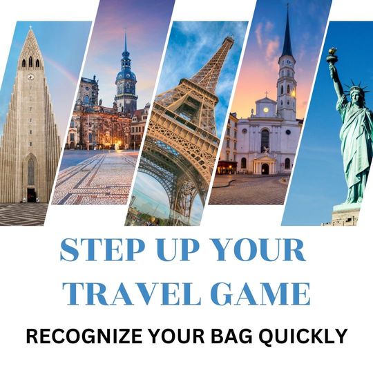 Multi-Color Plane Luggage Cover