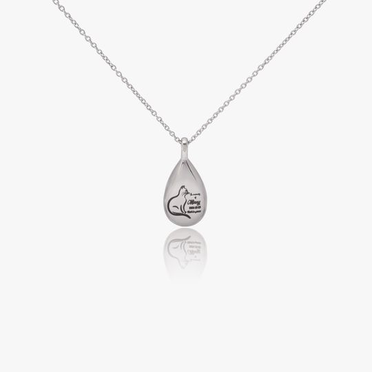 Teardrop Pet Urn Necklace with Paw Print Locket for Mothers Day