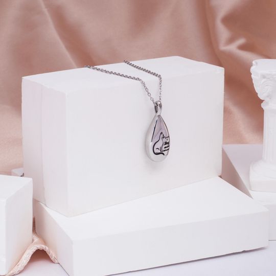 Teardrop Pet Urn Necklace with Paw Print Locket for Mothers Day